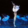 “Hồ thiên nga” – một vở ballet, nhiều cách diễn
