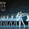 Vở ballet 3D “Hồ Thiên Nga” của Nhà hát Ballet Nga Talarium Et Lux