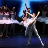 Khoảnh khắc đẹp của vở ballet “Hồ Thiên Nga” tại Việt Nam